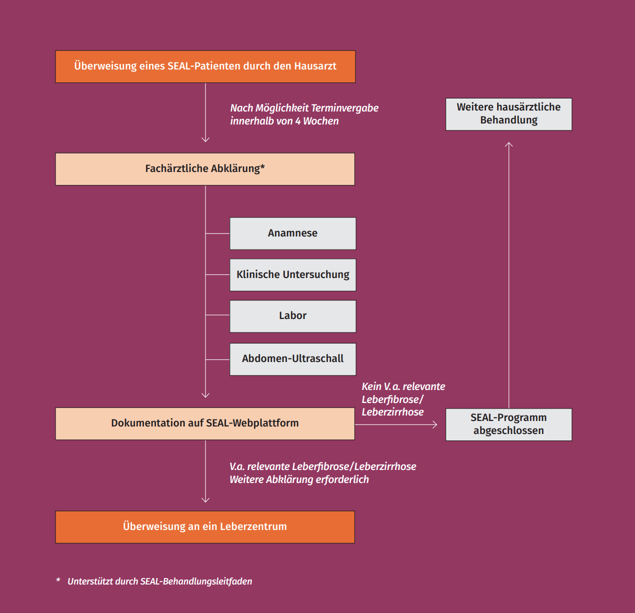 Diagramm SEAL Studien-Ablauf Fachärzte